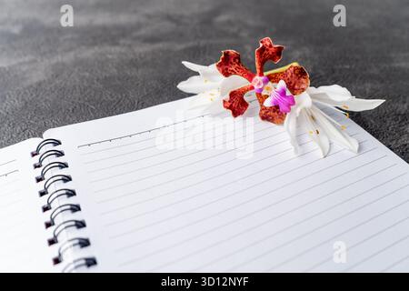 A red orchid and white jasmine flowers resting on the blank lined pages of an open spiral notebook. Stock Photo