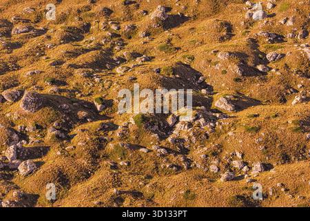 Dry grass and scattered boulders creating a patterned, undulating terrain. Warm colors highlighting natural outdoor texture and geology Stock Photo