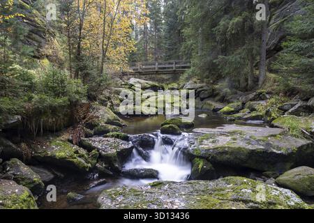 A small waterfall flows over mossy rocks in autumn forest, Hoellfall Arbesbach Waldviertel Lower Austria Austria Stock Photo