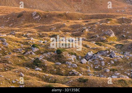 Dry grass and scattered boulders creating a patterned, undulating terrain. Warm colors highlighting natural outdoor texture and geology Stock Photo