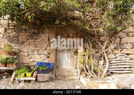 Bosa - Sardinien - Italien - 02-28-2025: An old wooden door set in a rustic stone wall, surrounded by potted plants, crates, and twisted tree branches Stock Photo