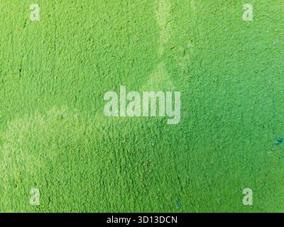 Green painted wall texture rough surface background Stock Photo