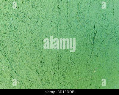 Green painted wall texture rough surface background Stock Photo