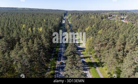 Aerial view of a long, straight road cutting through a dense forest. Stock Photo
