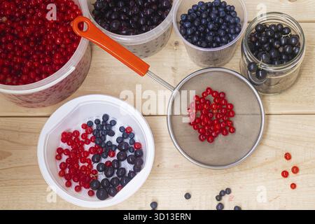 Berries from his garden. Garden berries. Berries from the bushes. Red currant black currant gooseberry. Variety of berries. Healthy food Stock Photo