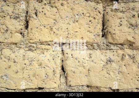Old yellow mud brick wall background with good texture Stock Photo