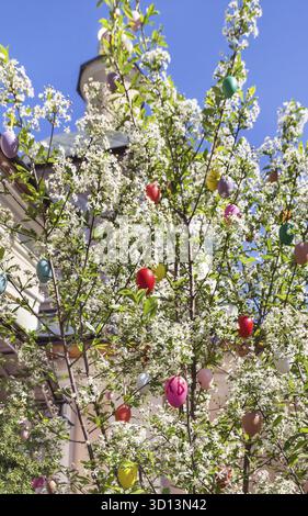 Easter eggs decorated on blooming tree on a Ñhurch background Stock Photo