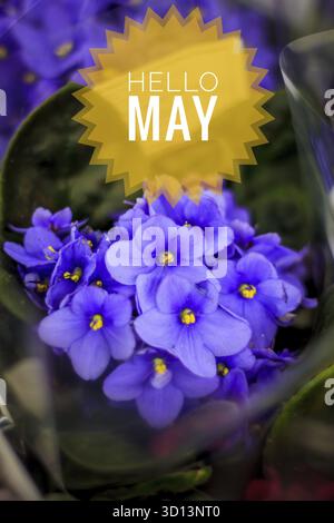 Banner hello may. Welcome picture. New month. Warm month. the month of ...