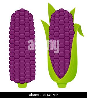 Purple corn cobs on white background, hulled and with husk. Cartoon vector illustration set. Stock Vector