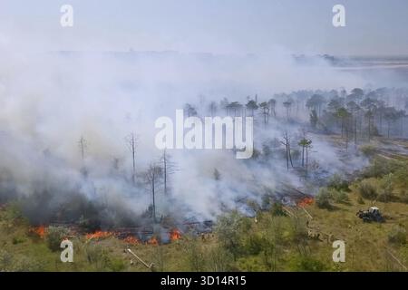 Forest fire, smoke of surrounding area. smoke and fire Stock Photo - Alamy