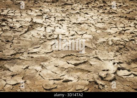 Cracked dry sandy earth Stock Photo