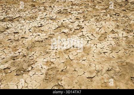 Cracked dry sandy earth Stock Photo