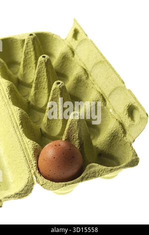 Brown chicken eggs in a pack isolated on white Stock Photo