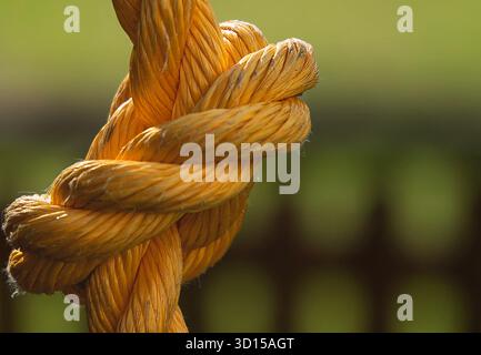A nylon rope in a knot Stock Photo