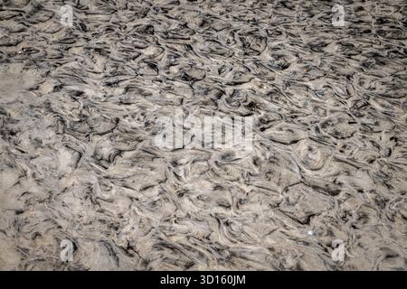 A minimalist study of fine sand, revealing faint tonal gradations created by wind and water. This tranquil composition emphasizes simplicity and natur Stock Photo