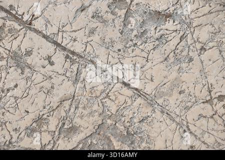 Weathered stone surface displaying an abstract pattern of cracked textures and varying tones, creating a grunge and distressed background for creative Stock Photo