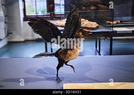 oslo-norway-september-6-2025-