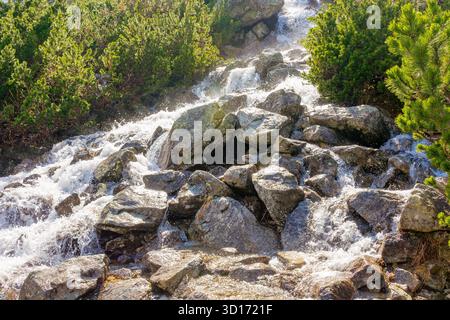 water stream among rocks. beautiful mountain landscape of poland. nature with coniferous forest in spring Stock Photo