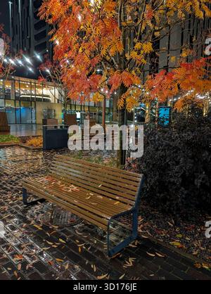 Empty bench on a wet cobblestone patio in autumn, with glowing orange leaves and city lights at night. Stock Photo