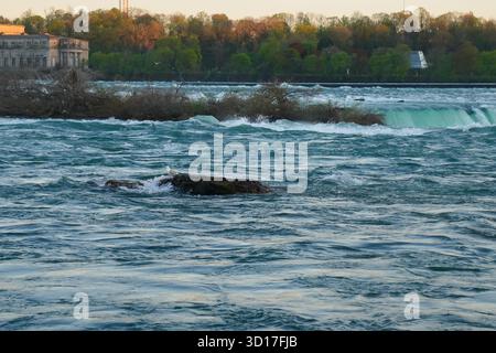 The Niagara River flows rapidly toward the Horseshoe Falls, with churning water, tree branches, and evening light reflecting on the turquoise surface Stock Photo