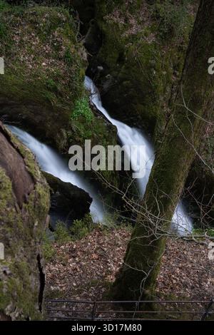 Stock Ghyll Force Waterfall in Lake District Stock Photo