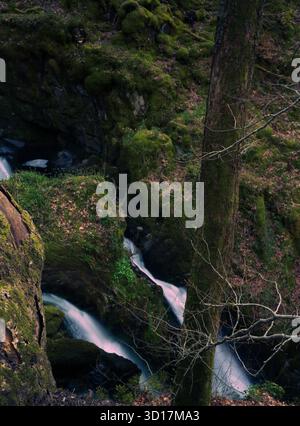 Stock Ghyll Force Waterfall in Lake District Stock Photo