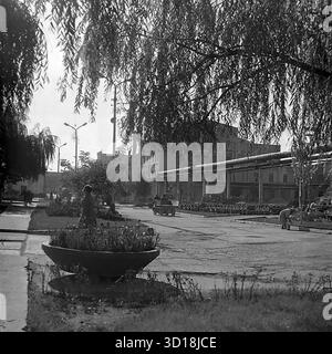 A view across the landscaped grounds of the Armature-Insulator Plant (AIZ) in Sloviansk, 1980s. Archival b&w photo, USSR. Framed by weeping willow leaves, the scene shows workers walking near large factory buildings and overhead pipelines. A small electric cart travels on a path. Flowerbeds and trees contrast with the industrial infrastructure. This image captures the environment of a major Soviet enterprise during the Perestroika era. A valuable document of the peaceful industrial life in Donbas before the war. Stock Photo