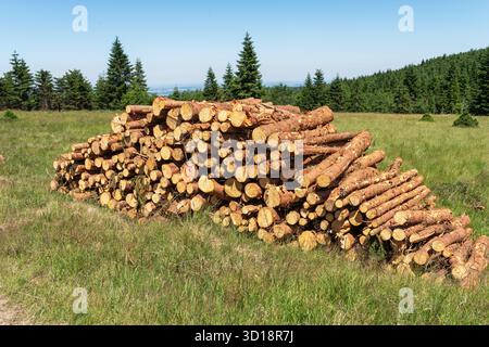 Pile of cut timber logs on grassy hillside with conifer forest in background, raw wood trunks stacked as renewable natural resource, forestry industry Stock Photo