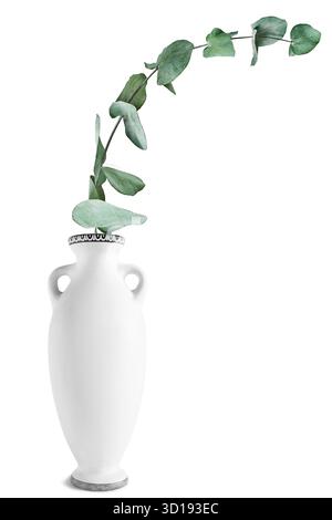 Dried eucalyptus branch in white antique vase isolated on white background Stock Photo