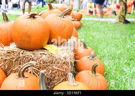 Pumpkins on hay bales at outdoor fall market or festival Stock Photo