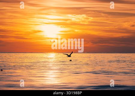 Vivid Sunrise Over Calm Ocean Horizon With Colorful Sky Stock Photo