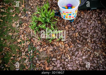Hidden Easter Egg in Bush Next to Child's Egg Bucket on Egg Hunt Stock Photo
