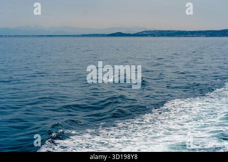 Seagull Soaring Over Ocean Waves Stock Photo