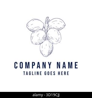 Vintage Retro Hand Drawn Sketch of Palm Coconut Fruit Illustration Logo Design Vector Stock Vector