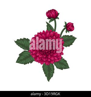 beautiful bouquet dahlias with the effect of a watercolor drawing isolated on background. design greeting card and invitation of the wedding, birthday Stock Vector