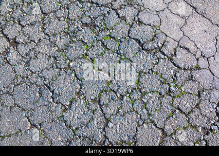 Moss grows through cracked asphalt road surface Stock Photo