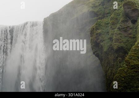 View of the misty veil of Skógafoss waterfall plunges dramatically, contrasting with the vibrant green moss clinging to the rugged cliffs, Skógafoss, Rangárþing eystra, Iceland. Stock Photo