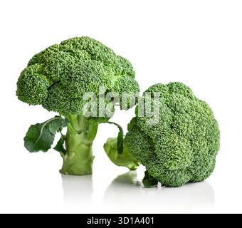 Raw broccoli isolated on a white background Stock Photo