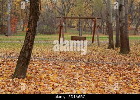 Autumn scenery, park and trees with a swing seat between them, carpet of yellow and orange fallen maple leaves on the ground, fall background Stock Photo