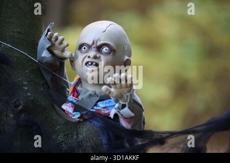 Creepy Zombie Baby Halloween Decoration Hanging in a Tree outdoors Stock Photo