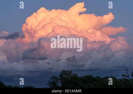 Storm clouds with rain. Nature, environment, dark sky, huge cloud, black stormy cloud in forest Stock Photo
