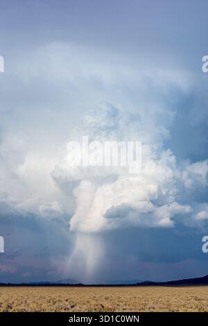 Cumulonimbus cloud from a thunderstorm over Grand Teton National Park, Wyoming Stock Photo