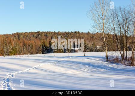 Foot tracks in fresh snow Stock Photo