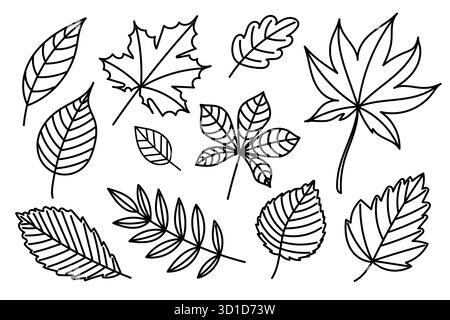 Collection of hand-drawn fall leaves in minimalist black outline style. Ideal for coloring books, eco design, and botanical illustration sets. Stock Vector