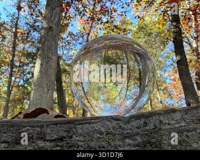 Crystal glass sphere resting on a log reflects colorful autumn trees, symbolizing reflection, clarity, and peaceful perspective. Stock Photo