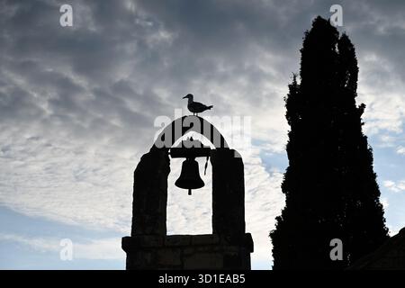 Seagull sitting on the old bell tower in the city of Split, Croatia Stock Photo