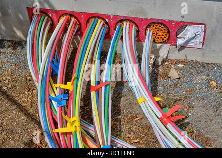 cable connections for individual households at a local Internet hub, Germany Stock Photo
