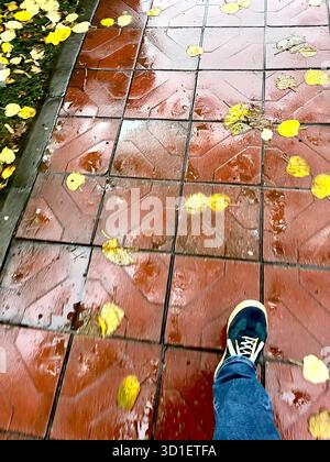Man walking on sidewalk with fallen yellow leaves in Autumn in rainy weather Stock Photo
