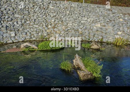A clear river flows gently between stones. Green plants grow on submerged tree trunks. The sunlight shines on the water surface and reflects the color Stock Photo