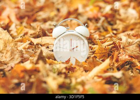 Daylight Savings Time Concept. A Clock And Leaves outside in autumn season Stock Photo